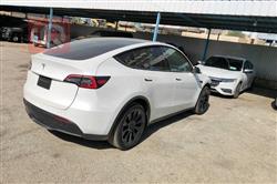 تسلا موديل Y